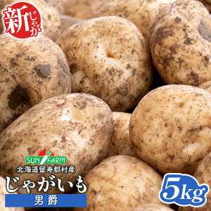 【ふるさと納税】新じゃがいも 男爵 5kg いも おいも 芋 イモ ジャガイモ ポテト だんしゃく オンライン 申請 ふるさと納税 北海道 留寿都 野菜 根菜 産地直送 新鮮 採れたて ポテトサラダ コロッケ マッシュポテト 5キロ 留寿都村【2401401】
