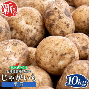 【ふるさと納税】新じゃがいも 男爵 10kg いも おいも 芋 イモ ジャガイモ ポテト だんしゃく オンライン 申請 ふるさと納税 北海道 留寿都 野菜 根菜 産地直送 新鮮 採れたて ポテトサラダ コロッケ マッシュポテト 10キロ 留寿都村【2401501】