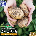 【ふるさと納税】越冬じゃがいも キタアカリ 10kg いも おいも 芋 イモ ジャガイモ ポテト きたあかり オンライン 申請 ふるさと納税 北海道 留寿都 野...