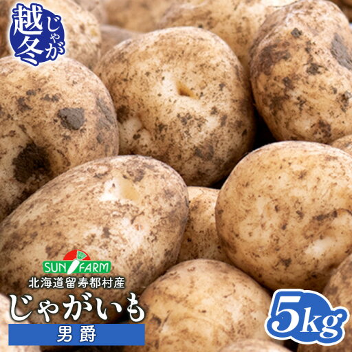 【ふるさと納税】越冬じゃがいも 男爵 5kg いも おいも 芋 イモ ジャガイモ ポテト だんしゃく オンライン 申請 ふるさと納税 北海道 留寿都 野菜 根菜 産地直送 新鮮 採れたて ポテトサラダ コロッケ マッシュポテト 5キロ 留寿都村【24022】 【ふるさと納税】越冬じゃがいも 男爵 5kg いも おいも 芋 イモ ジャガイモ ポテト だんしゃく オンライン 申請 ふるさと納税 北海道 留寿都 野菜 根菜 産地直送 新鮮 採れたて ポテトサラダ コロッケ マッシュポテト 5キロ 留寿都村【24022】