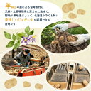 北海道留寿都村の画像2