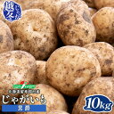 【ふるさと納税】越冬じゃがいも 男爵 10kg いも おいも 芋 イモ ジャガイモ ポテト だんしゃく オンライン 申請 ふるさと納税 北海道 留寿都 野菜 根...
