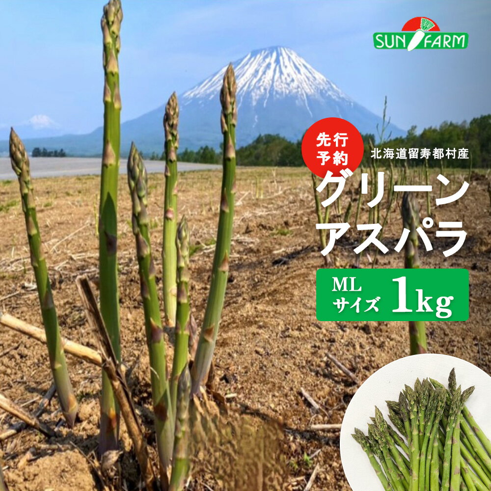 【ふるさと納税】【先行予約】 グリーンアスパラ MLサイズ 1kg オンライン 申請 ふるさと納税 北海道 留寿都 アスパラ アスパラガス 野菜 春 旬野菜 季節野菜 産地直送 新鮮 採れたて サラダ おかず グラタン 肉巻き 1キロ 留寿都村【24001】
