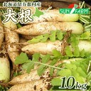 【ふるさと納税】大根 10kg だいこん ダイコン オンライン 申請 ふるさと納税 北海道 留寿都 野菜 根菜 産地直送 新鮮 採れたて 大根おろし サラダ 切...
