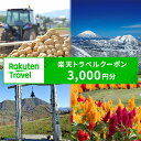【ふるさと納税】北海道留寿都村の対象施設で使える 楽天トラベルクーポン 寄付額10,000円(クーポン3,000円)【10002】