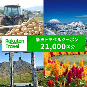 【ふるさと納税】北海道留寿都村の対象施設で使える 楽天トラベルクーポン 寄付額70,000円(クーポン21,000円)【10011】