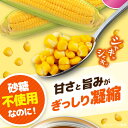 北海道喜茂別町の画像2