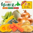 【ふるさと納税】先行予約 数量限定 北海道産 定期 朝採れ 旬の野菜 詰め合わせ ▼全3回定期便 《喜茂別町》【ニセコビュープラザ直売会協同組合】 メロン トウ...