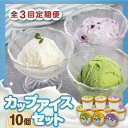【ふるさと納税】【全3回定期便】ミルク工房 カップアイスセット(130ml×10個)《喜茂別町》【ニセコリゾート観光協会】 アイス アイスクリーム ジェラート ...
