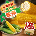 【ふるさと納税】【2025年8月下旬以降順次発送】 スイートコーン 味来 2Lサイズ×13本(約4.5kg)《喜茂別町》【Aコープようてい】 とうもろこし トウ...