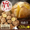 【ふるさと納税】【全3回定期便】北海道 じゃがいも 男爵芋 20kg 《喜茂別町》【Aコープようてい】 ジャガイモ じゃがいも 野菜 季節の野菜 秋野菜 詰め合...