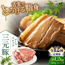 【ふるさと納税】 定期 三元豚 ロースブロック1.2kg 600g×2パック ▼ 全12回 定期便 《喜茂別町》【平田牧場】 肉 豚肉 ロース ブロック ロース...
