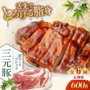 【ふるさと納税】 定期 三元豚 肩ロースブロック600g ▼ 全6回 定期便《喜茂別町》【平田牧場】 肉 豚肉 ロース ブロック ローストポーク 煮豚 酢豚 煮...