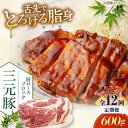 【ふるさと納税】 定期 三元豚 肩ロースブロック600g ▼ 全12回 定期便《喜茂別町》【平田牧場】 肉 豚肉 ロース ブロック ローストポーク 煮豚 酢豚 ...