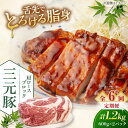 【ふるさと納税】 定期 三元豚 肩ロースブロック1.2kg 600g×2パック ▼ 全6回 定期便 《喜茂別町》【平田牧場】 肉 豚肉 ロース ブロック ロース...