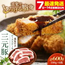 【ふるさと納税】 三元豚 ロースステーキ 6枚 100g/枚 藻塩付き 《喜茂別町》【平田牧場】肉 豚肉 ロース ステーキ ステーキ用 とんかつ トンテキ 生姜...