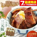 【ふるさと納税】 三元豚 ロース みそ漬け 18枚 80g 3枚 6パック 《喜茂別町》【平田牧場】 肉 豚肉 ロース ロース肉 味噌漬 小分け 冷蔵配送 北海...