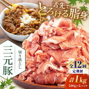 【ふるさと納税】 定期 三元豚 切り落とし 1kg 500g×2パック ▼ 全12回 定期便 《喜茂別町》【平田牧場】 肉 豚肉 生姜焼き 小分け 冷凍 冷凍配...