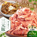 【ふるさと納税】 定期 三元豚 切り落とし 2kg 500g×4パック ▼ 全2回 定期便 《喜茂別町》【平田牧場】 肉 豚肉 生姜焼き 小分け 冷凍 冷凍配送...