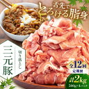 【ふるさと納税】 定期 三元豚 切り落とし 2kg 500g×4パック ▼ 全12回 定期便 《喜茂別町》【平田牧場】 肉 豚肉 生姜焼き 小分け 冷凍 冷凍配...