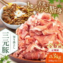 【ふるさと納税】 定期 三元豚 切り落とし 3kg 500g×6パック ▼ 全6回 定期便《喜茂別町》【平田牧場】 肉 豚肉 生姜焼き 小分け 冷凍 冷凍配送 ...