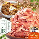 【ふるさと納税】 定期 三元豚 切り落とし 3kg 500g×6パック ▼ 全12回 定期便 《喜茂別町》【平田牧場】 肉 豚肉 生姜焼き 小分け 冷凍 冷凍配...
