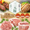 【ふるさと納税】 定期 三元豚 ロース・バラブロック各600g・ひき肉300g ▼ 全12回 定期便 《喜茂別町》【平田牧場】 肉 豚肉 ブロック ステーキ ス...