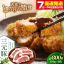 【ふるさと納税】 三元豚 ロースステーキ 8枚 100g/枚 藻塩ナシ 《喜茂別町》【平田牧場】肉 豚肉 ロース ステーキ ステーキ用 とんかつ トンテキ 生姜...