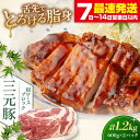 【ふるさと納税】 三元豚 肩ロースブロック1.2kg 600g 2パック 《喜茂別町》【平田牧場】 肉 豚肉 ロース ブロック ローストポーク 煮豚 酢豚 煮物...