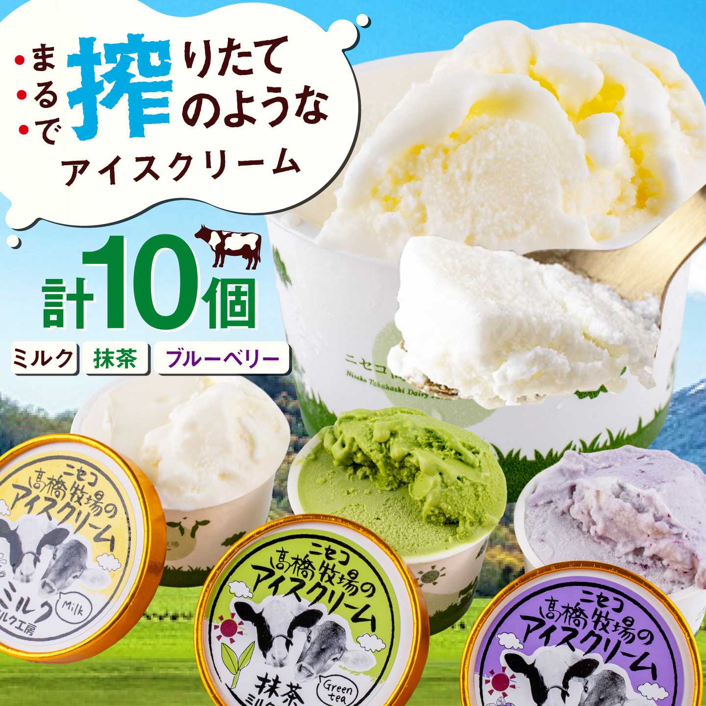 【ふるさと納税】高橋牧場 カップアイスセット 10個 《喜茂別町》【株式会社高橋牧場】 アイス あい ...
