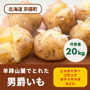 2024年秋発送！ 北海道羊蹄山麓 じゃがいも20kg（男爵）［JAようてい］【 野菜 じゃがいも 20kg 男爵 だんしゃく 料理 北海道 】　【 野菜 じゃがいも 】　お届け：2024年9月25日頃～2025年2月21日頃