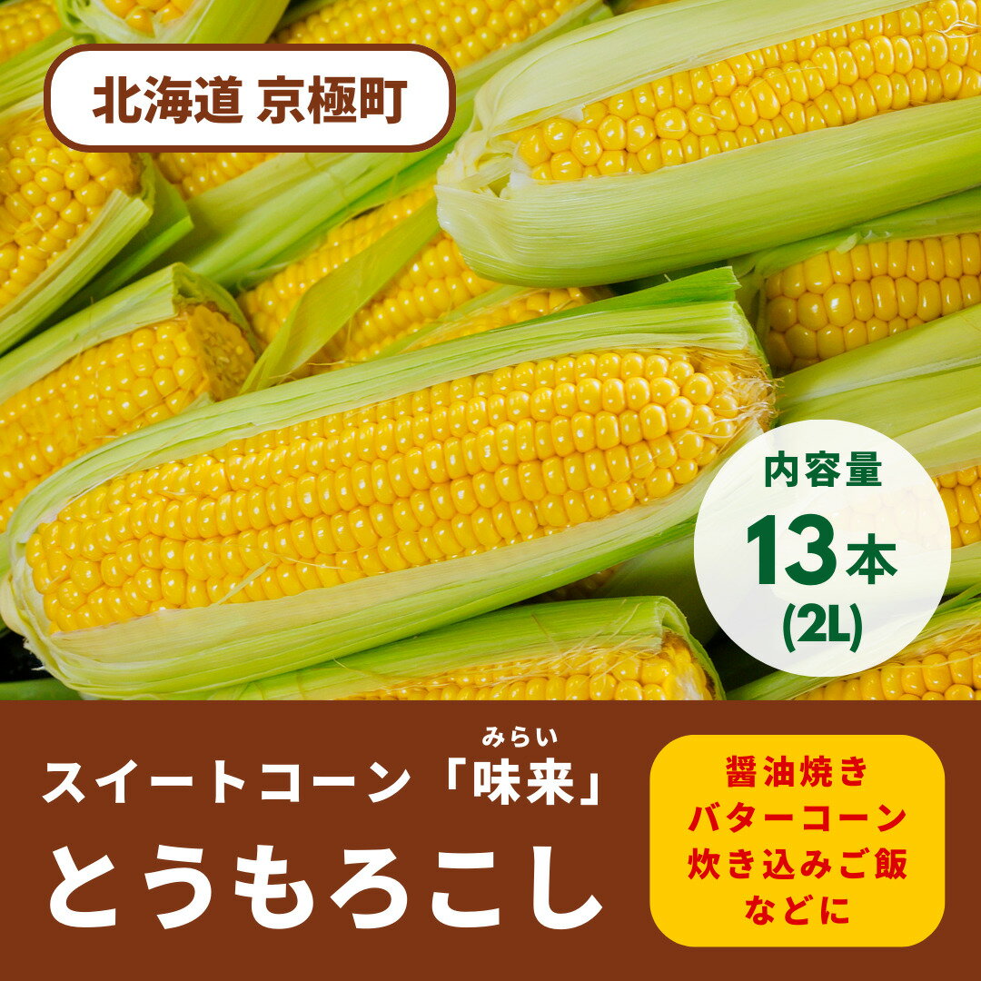 2024年夏発送！ 北海道羊蹄山麓 スイートコーン「味来」2Lサイズ 13本 ［JAようてい］【 野菜 とうもろこし とうきび みらい 生 冷蔵 】　【野菜・とうもろこし・スイートコーン・トウモロコシ・コーン】　お届け：2024年8月20日頃～2024年9月6日頃