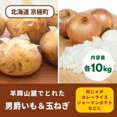 楽天ふるさと納税　【ふるさと納税】2024年秋発送！ 北海道羊蹄山麓 じゃがいも玉ねぎセット20kg（男爵10kg・玉ねぎ10kg） ［JAようてい］【 野菜 じゃがいも 食べ比べ だんしゃく たまねぎ 料理 10kg 20kg セット 】　【 お取り寄せ 】　お届け：2024年11月7日頃～2024年12月25日頃