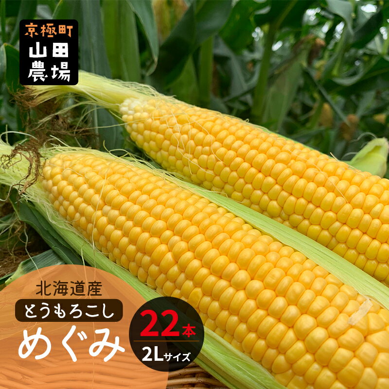 12位! 口コミ数「1件」評価「5」北海道産とうもろこし〈めぐみ〉2Lサイズ22本 山田農場 ［京極町］野菜 果物 とうもろこし とうきび スイートコーン 北海道 料理　【野菜･･･ 