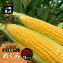 14位! 口コミ数「1件」評価「5」北海道産とうもろこし〈めぐみ〉2Lサイズ22本 山田農場 ［京極町］野菜 果物 とうもろこし とうきび スイートコーン 北海道 料理　【野菜･･･ 