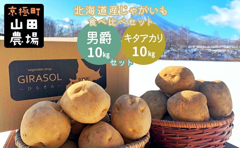 【ふるさと納税】北海道産じゃがいも〈男爵〉10kg・〈キタアカリ〉10kg食べ比べセット［京極町］じゃがいも 男爵 キタアカリ 野菜 10kg セット 食べ比べ 料理　【野菜・じゃがいも・ジャガイモ・男爵・キタアカリ・食べ比べ】　お届け：2024年9月下旬～2025年3月下旬