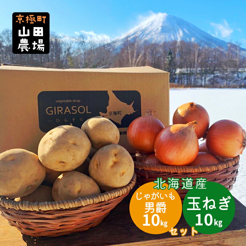 【ふるさと納税】北海道産じゃがいも〈男爵〉10kg・玉ねぎ10kgセット［京極町］ じゃがいも 玉ねぎ 野..