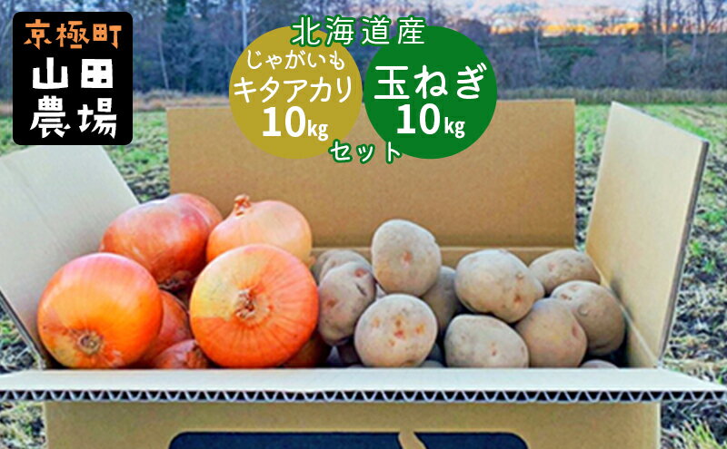 【ふるさと納税】北海道産じゃがいも〈キタアカリ〉10kg・玉ねぎ10kgセット［京極町］じゃがいも 玉ねぎ 野菜 10kg セット 料理 キタアカリ　【野菜・じゃがいも・野菜・玉ねぎ・たまねぎ・ジャガイモ・キタアカリ・タマネギ】　お届け：2024年10月～2025年3月下旬