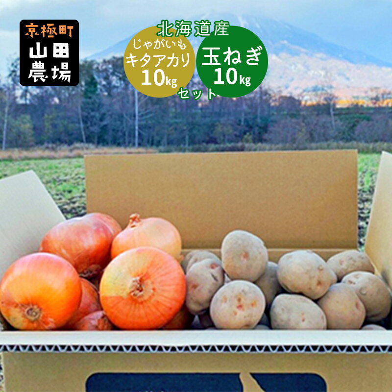 北海道産じゃがいも[キタアカリ]10kg・玉ねぎ10kgセット[京極町]じゃがいも 玉ねぎ 野菜 10kg セット 料理 キタアカリ [野菜・じゃがいも・野菜・玉ねぎ・たまねぎ・ジャガイモ・キタアカリ・タマネギ] お届け:2024年10月〜2025年3月下旬