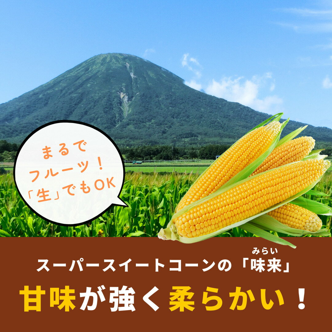 【ふるさと納税】2024年夏発送！ 北海道羊蹄山麓 スイートコーン「味来」2Lサイズ 26本［JAようてい］【 野菜 とうもろこし とうきび みらい 生 冷蔵 】　【 とうもろこし 北海道産 産地直送 】　お届け：2024年8月20日頃～2024年9月6日頃 3