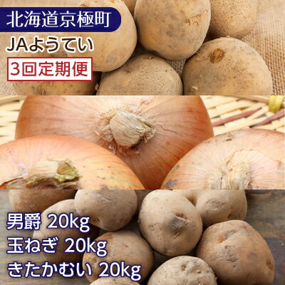 【ふるさと納税】［3回定期便］北海道ようてい産 じゃがいも20kg（男爵）・玉ねぎ20kg・じゃがいも20kg（きたかむい）［JAようてい］【 野菜 食べ比べ 定期便 】　【定期便・ 男爵イモ きたかむい 根菜 たまねぎ 】　お届け：2023年9月下旬より順次