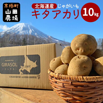北海道産じゃがいも[キタアカリ]10kg[京極町] 野菜 キタアカリ じゃがいも 北海道 10kg 料理 [ 北海道のジャガイモ 甘みが強い 生産者直送 ] お届け:2024年9月下旬〜2025年3月下旬
