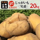 17位! 口コミ数「0件」評価「0」訳あり 北海道産じゃがいも〈男爵〉20kg［京極町］ 野菜 男爵 じゃがいも 20kg 北海道 料理　【 北海道のジャガイモ ホクホク 生産･･･ 