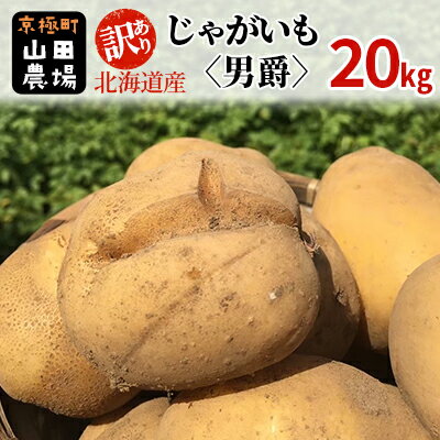 訳あり 北海道産じゃがいも〈男爵〉20kg［京極町］ 野菜 男爵 じゃがいも 20kg 北海道 料理　【 北海道のジャガイモ ホクホク 生産者直送 】　お届け：2024年10月～2025年3月下旬