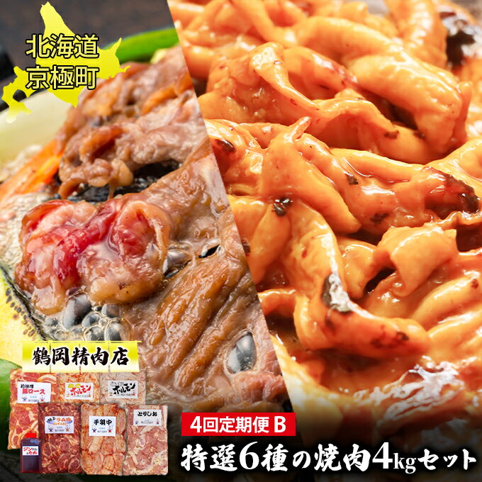 【ふるさと納税】肉の定期便B［全4回］鶏2種・豚・ホルモン2種・ラム 各1kg [鶴岡精肉店]北海道京極町【 ラム ホルモン モモ BBQ バーベキュー 焼肉 】　【定期便・ 塩ダレ手羽中 味噌豚ロース 上ホルモン ラムジンギスカン 】　お届け：2023年9月より順次出荷開始