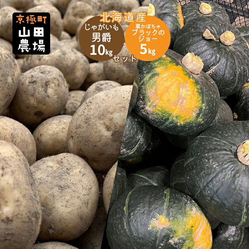 北海道産じゃがいも男爵10kg・かぼちゃブラックのジョー5kg [ 野菜 野菜セット 野菜詰め合わせ ホクホク 栗南瓜 秋の味覚 生産者直送 食材 北海道野菜 旬の野菜 ] お届け:2024年10月〜11月下旬