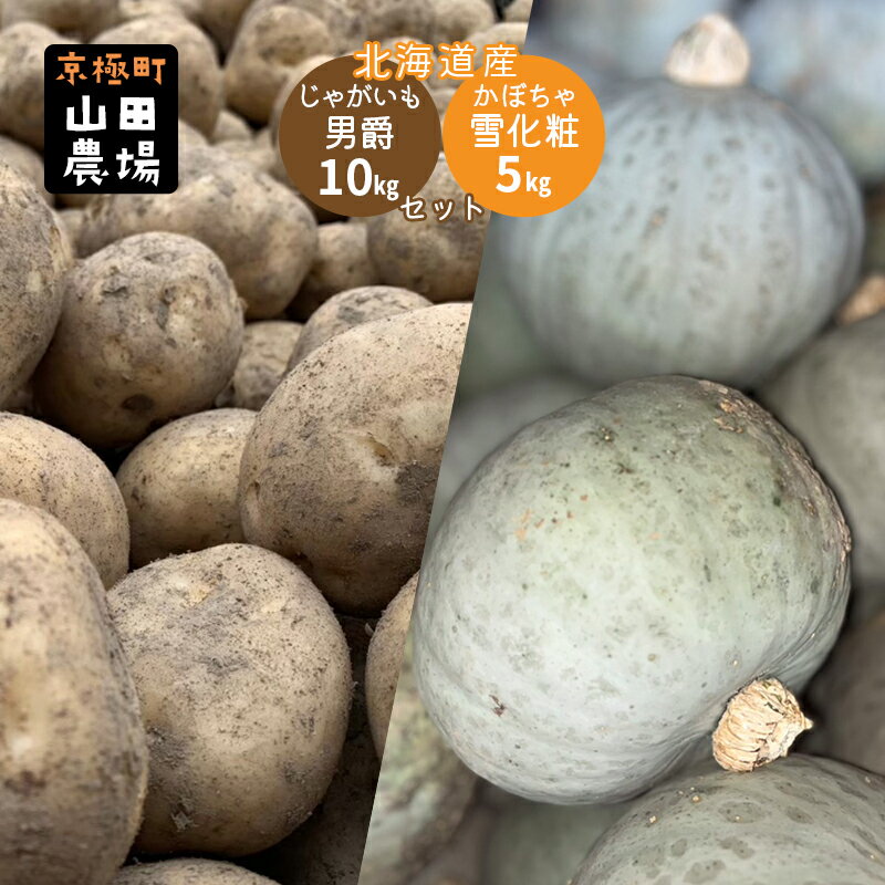 北海道産じゃがいも男爵10kg・かぼちゃ雪化粧5kg [ 野菜 セット 詰合せ 男爵 雪化粧 ] お届け:2024年10月〜11月下旬