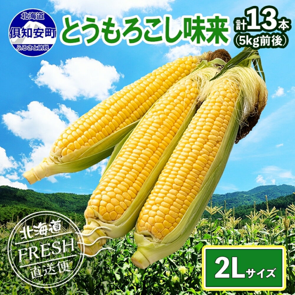 【ふるさと納税】先行予約 2024年 北海道 とうもろこし 味来 みらい 5kg 2Lサイズ 大きめ 夏野菜 とうきび 旬 新鮮 野菜 もろこし トウモロコシ 高糖度 ギフト gift 産地直送 産直 お取り寄せ グルメ 詰め合わせ 送料無料 倶知安町　お届け：2024年8月中旬〜9月上旬のサムネイル