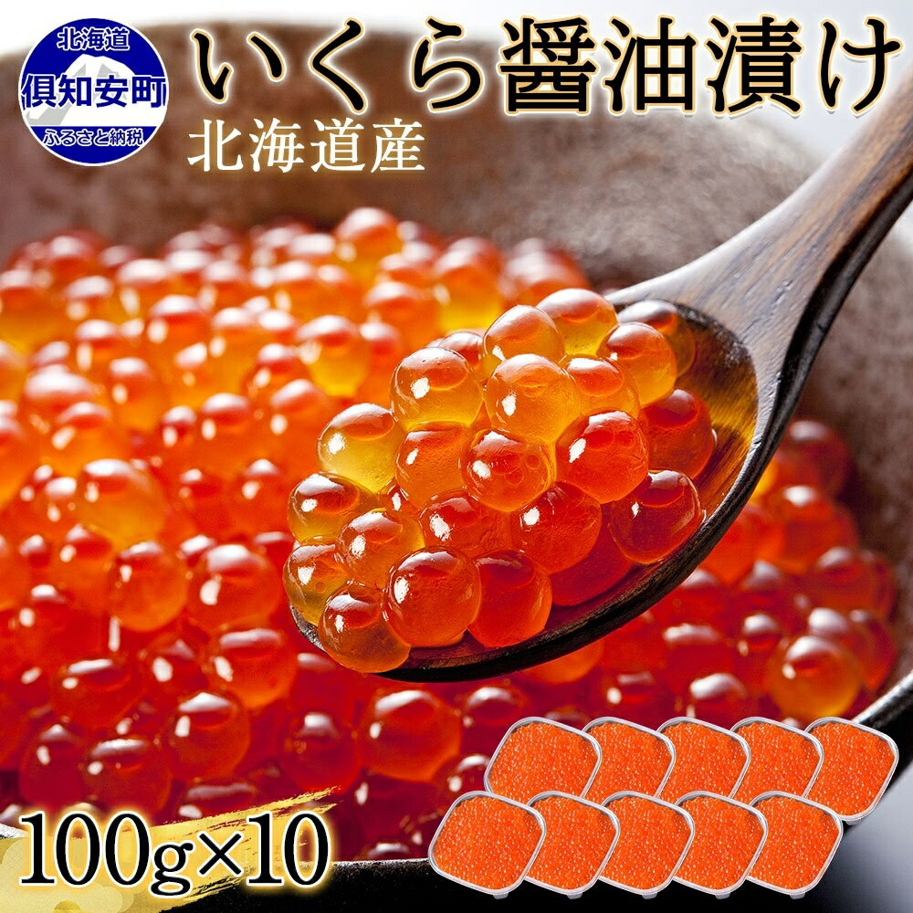 【ふるさと納税】 北海道産 いくら醤油漬け 100g×10パック 計1kg 小分け パック イクラ 海鮮 魚介 魚卵 いくら 海の幸 家庭用 食べきりサイズ 冷凍 お取り寄せ ギフト プレゼント 贈り物 贈答品 お中元 お歳暮 お正月 グルメ 蟹鮨加藤 送料無料 北海道 倶知安町