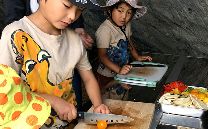 【ふるさと納税】収穫した新鮮オーガニック野菜でピザ作り体験　【体験チケット・ピザ】　お届け：2019年5月中旬-2019年8月31日が大人気返礼品になっている理由とは　ふるさと納税　人気　返礼品　ランキング